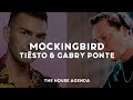 Capture de la vidéo Tiësto & Gabry Ponte - Mockingbird