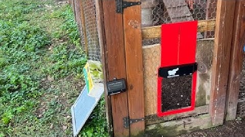 Run Chicken Door Model T50 Review, Being able to program this door is what sold me on it!