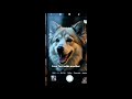 “10 Hidden iPhone Tricks| The Knowledge Bug Explains”#iphone #tips