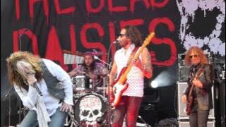 The Dead Daisies - Long way to go - New track ! (Live) @ Musikmesse Frankfurt 07.04.16