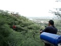 Flying fox neemrana  amit