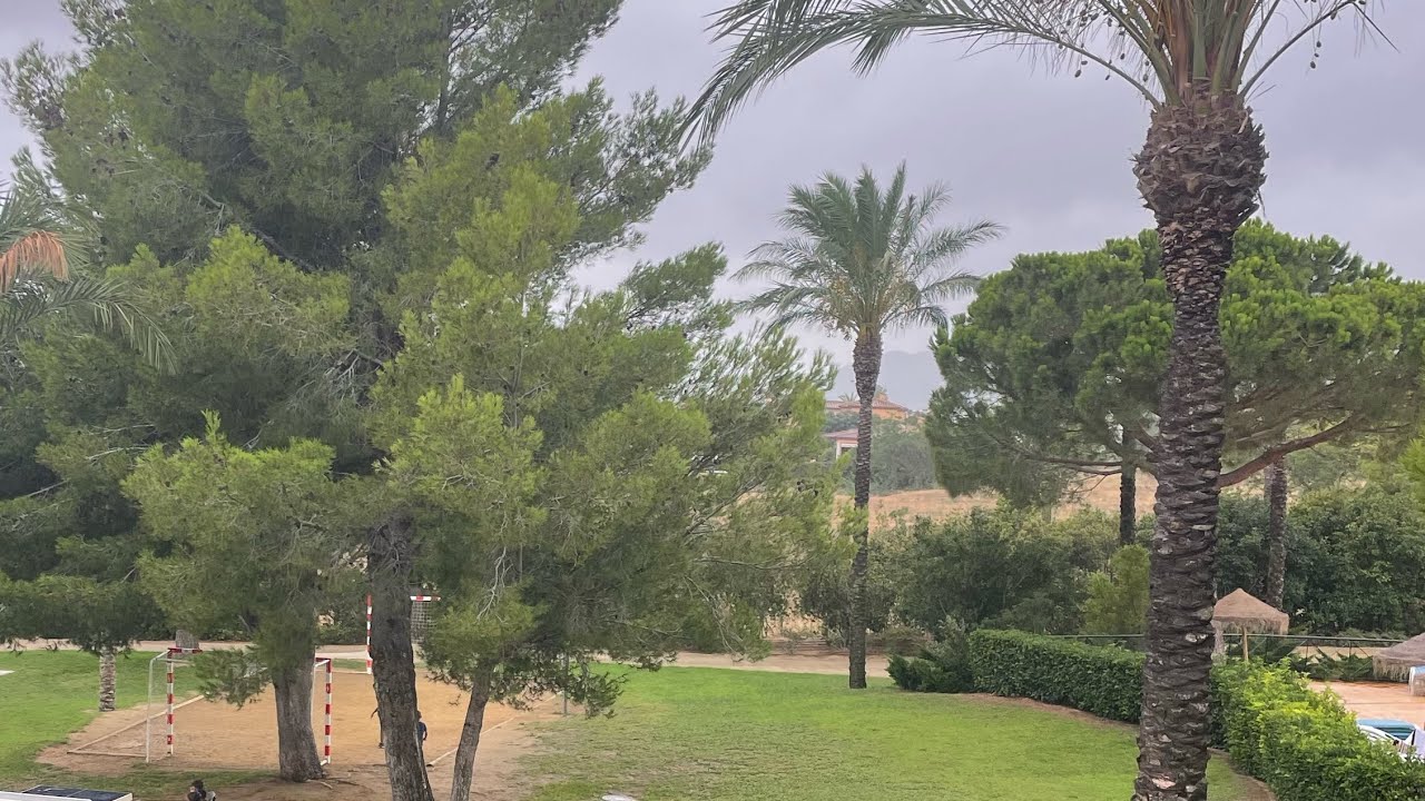 سر علاج التوحد فيديو  مهم من القلب الى القلب❤️❤️