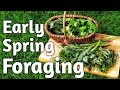 Foraging in Early Spring