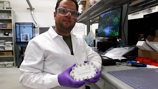 I-Steam Pathways Indigenous intern Jordan Eleniak designs blue-green algae detection device
