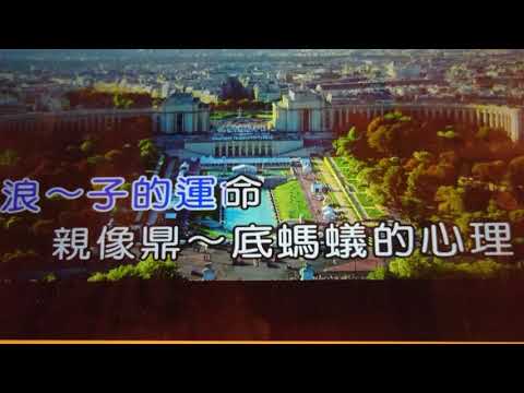 浪子的心情