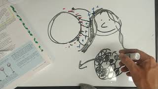 Celebrity Physics 11H -  Static Electricity Profile