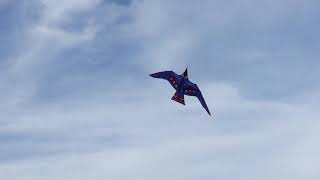 Soul Sacrifice Performed By Milagro - New Yorks Premier Santana Tribute Band