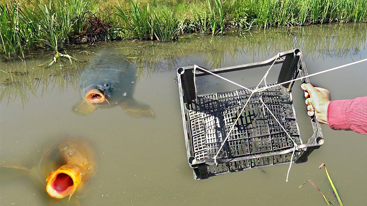 Outdoor Scene of the DIY Fish Trap Structure Make from Mangrove Wood,wire  and Polystyrene Pipe. Stock Photo - Image of handmade, hunting: 248235070