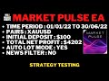 Market Pulse EA Forex MT4 Robot Strategy Testing