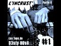 Lincrust  d3sty n0v4  2nde partie