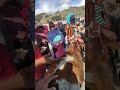 Encontre ganado de diferentes razas como holstein, angus, normando, charolais.