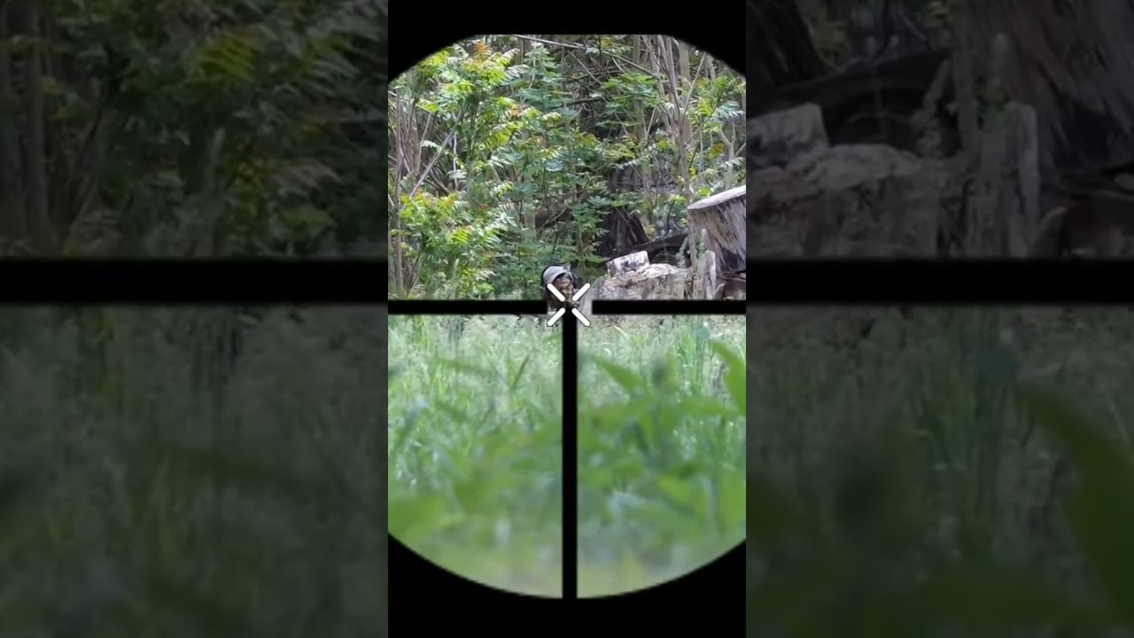 Upgraded S&T Mosin-Nagant 