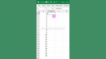Cara Mengetik Angka Romawi di Excel