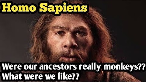 Were our ancestors really monkeys?? Homo Sapiens