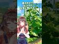 茶々丸農園in2025 きゅうりの経過報告🥒 #vtuber #農業 #農tuber #農業youtuber #shorts #農業vtuber