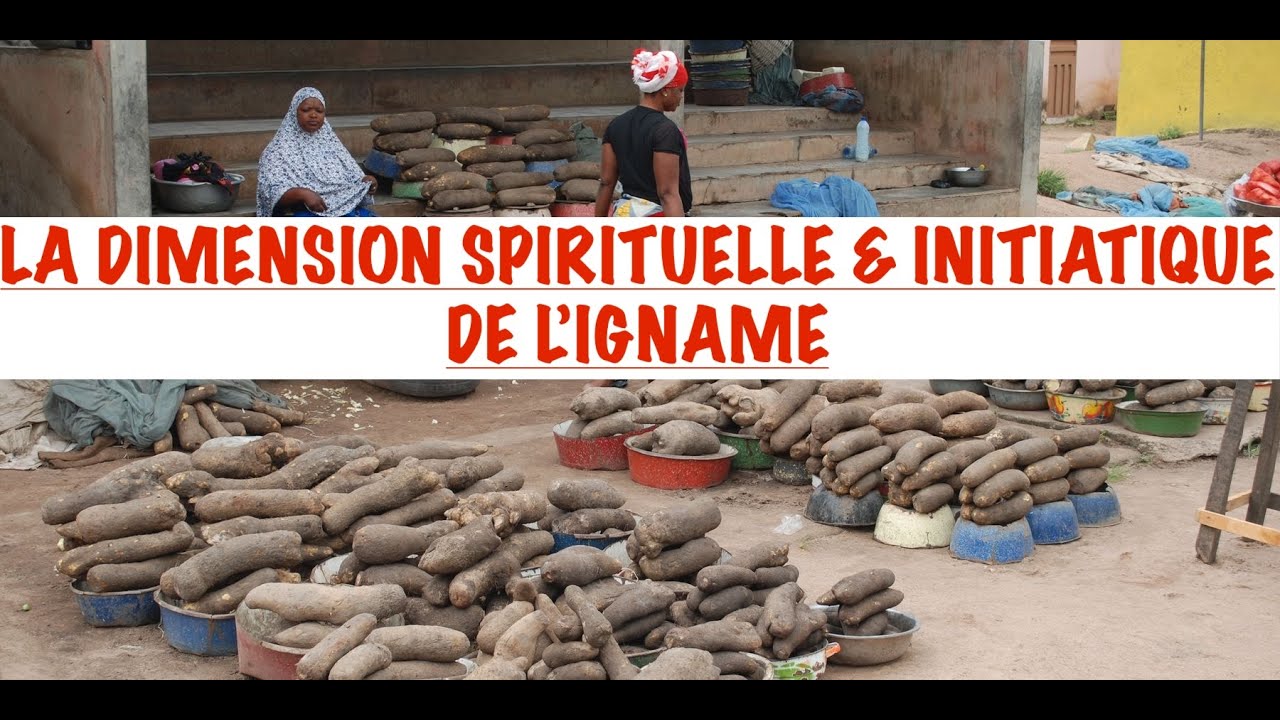 LA FÊTE DE L'IGNAME: DIMENSION MYSTIQUE, CODE INITIATIQUE & RITES DE L'IGNAME, LES VÉRITÉS DÉVOILÉES