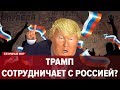 Новые русские приключения Трампа, Безумный мир