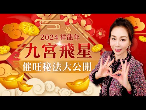 2024九宮飛星佈局祕法大公開｜雨揚樂活家族