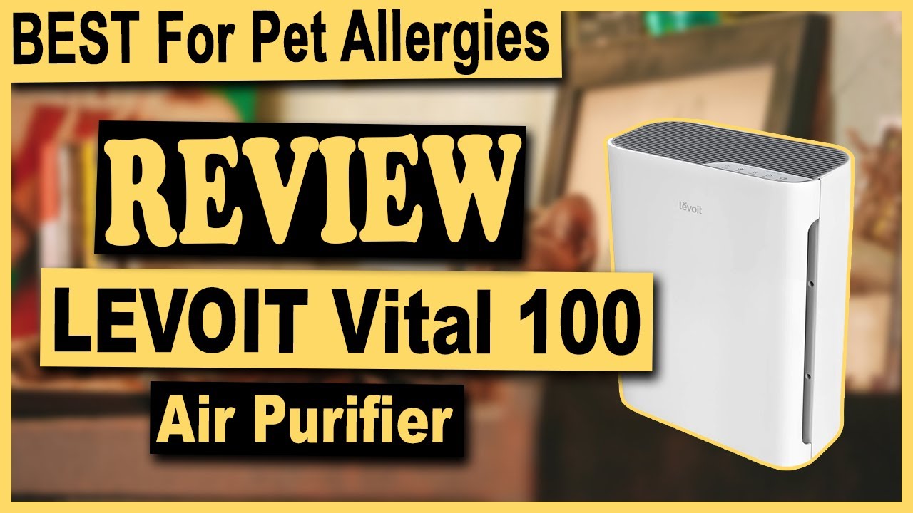 Levoit LV-PUR131 Air Purifier Review - Still Worth in 2023?