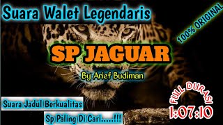 SP JAGUAR ORIGINAL BAN || SUARA PANGGIL WALET LEGENDARIS || SWIFTLET SOUND