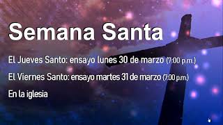 Santa Misa 12pm / Marzo 29, 2026 // Domingo de Ramos “De la Pasión del Señor”
