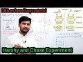 20.4 Alferd Hershey and Martha chase experiment| DNA as hereditary material | Fsc 2nd year biology