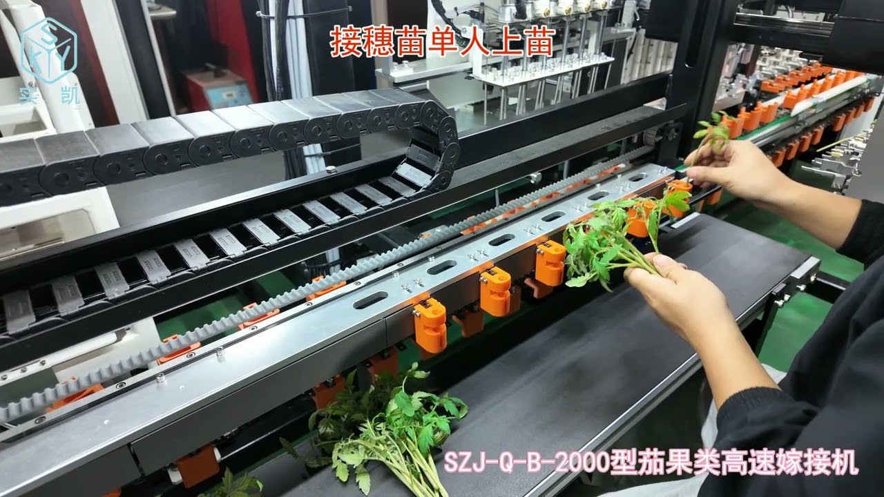 SZJ-Q-B-2000型茄果类高速嫁接机（Grafting machine）