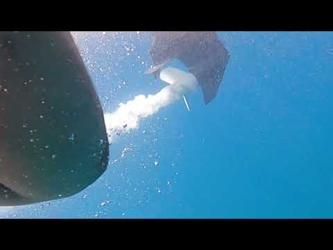 NO LLORES - 2022 FIN DEL VERANO - Yamaha marine | Semirrígidas | Zurita