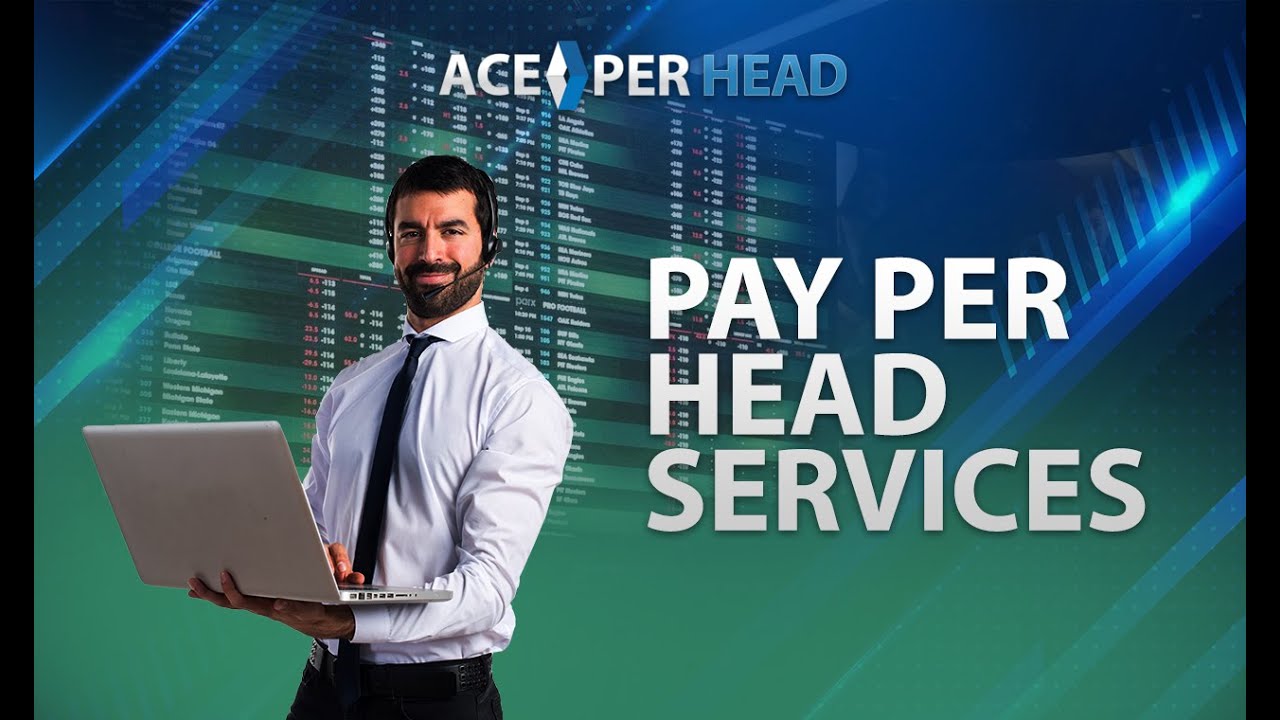 AcePerHead Pricing As Low as $3 | Pay Per Head Rates | Bookie Platform