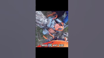 Tree Climbing Machine !?#facts#lumberjack#deforestation #tree#cuttingskills#machinery#tools