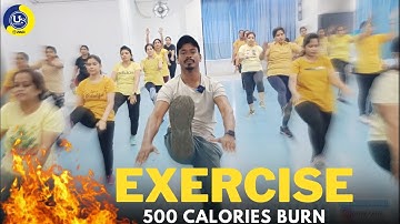Exercise Full Body Workout | 500 Calories Burn | Fitness Video Exercise | Zumba Fitness