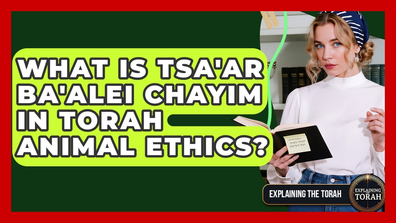 What Is Tsa'ar Ba'alei Chayim In Torah Animal Ethics? - Explaining The Torah