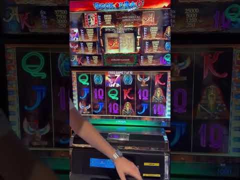 Entdecke das Oscar Spin Casino App: Genieße Online-Casino-Spiele in Deutschland