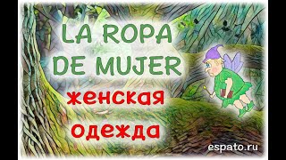 Испанский язык Урок 26 La ropa - одежда №2 - la ropa de mujer (www.espato.ru) Испанский язык Урок 26 La ropa - одежда №2 - la ropa de mujer (www.espato.ru)