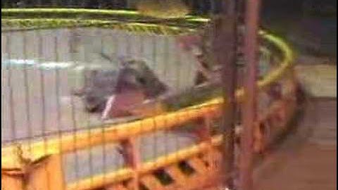 Roaming Robots Edinburgh 2004 best bits