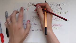 The Elements of Music: Dynamics