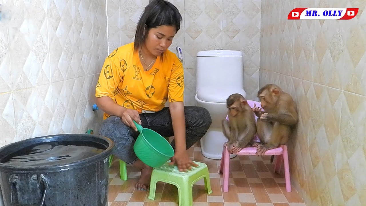 Kako And Luna Taking Bath On Chair