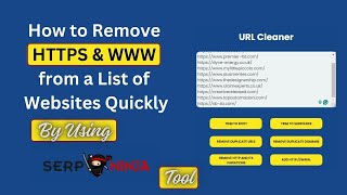 Celebrity How to Remove HTTPS & WWW from a List of Websites Quickly Net Worth