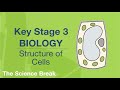 Key Stage 3 Biology: Cells Quiz