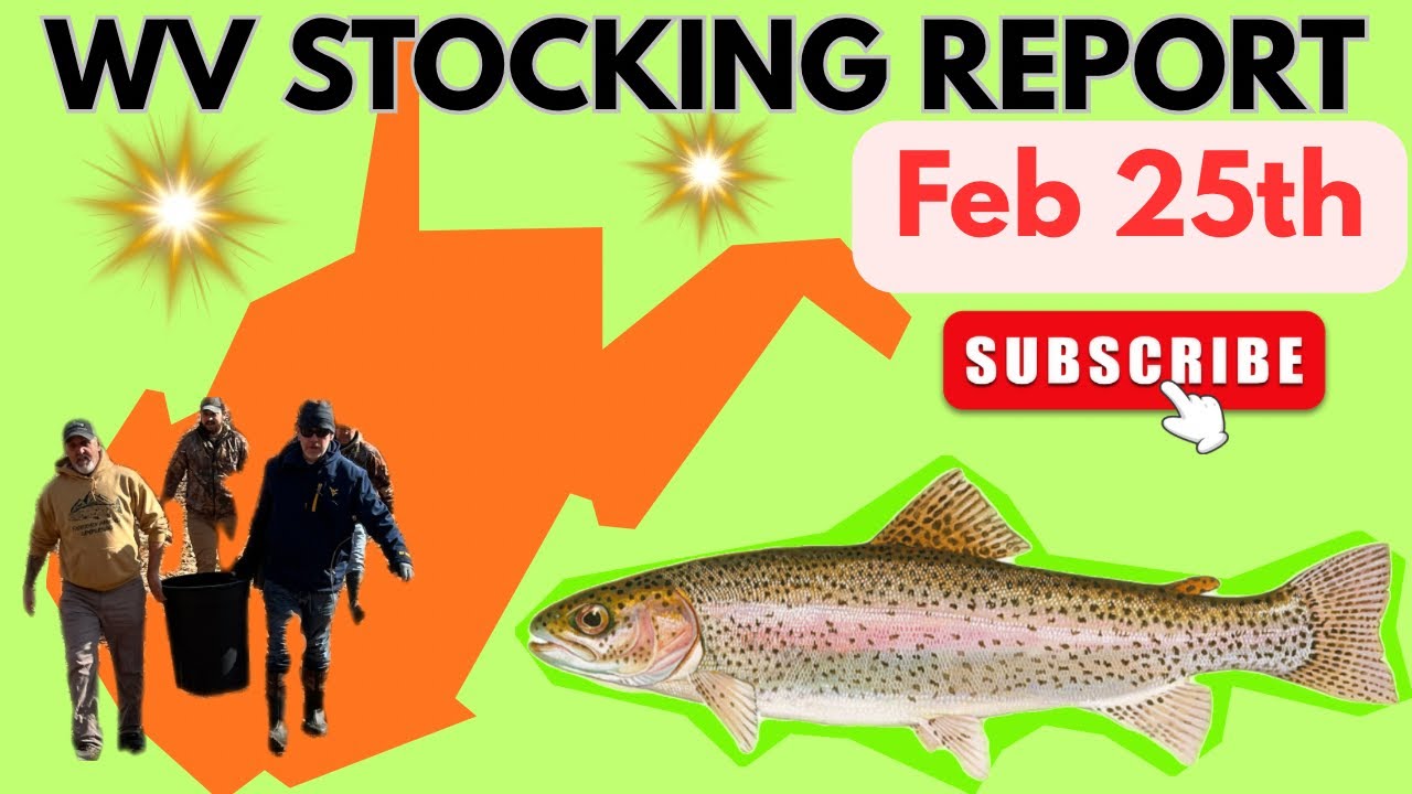WV Stocking Report (Feb 25th) - YouTube