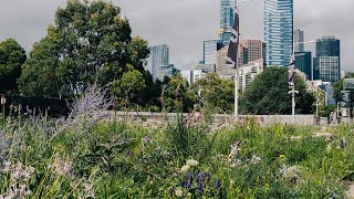 Test Garden