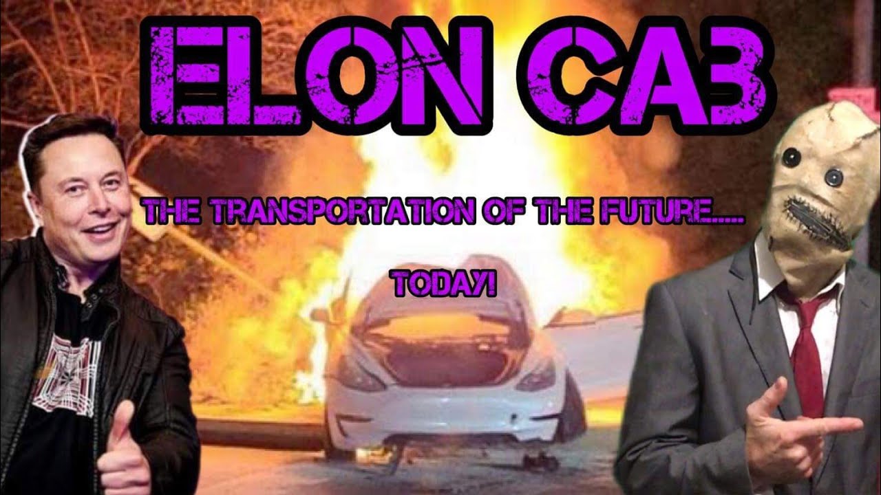 Dookie and Odourless try out Elon Musks automated taxi service