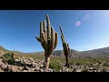 Desde Mendoza al Norte Argentino. (San Juan, La Rioja, Catamarca, Tucumán, Salta y Jujuy.