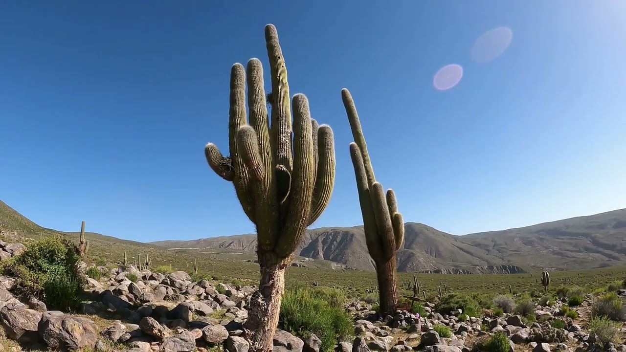 Desde Mendoza al Norte Argentino. (San Juan, La Rioja, Catamarca, Tucumán, Salta y Jujuy.