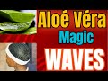 Aloé Véra Magic pour les WAVES 🌊#360waves #aloevera #how #conditioner #waves #360 #olive