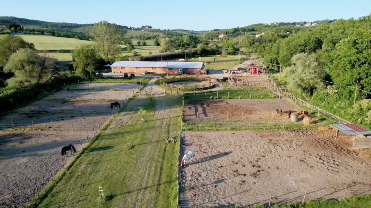 Maneggio CRAZY HORSE - Riding school in Florence (Rignano sull' Arno)