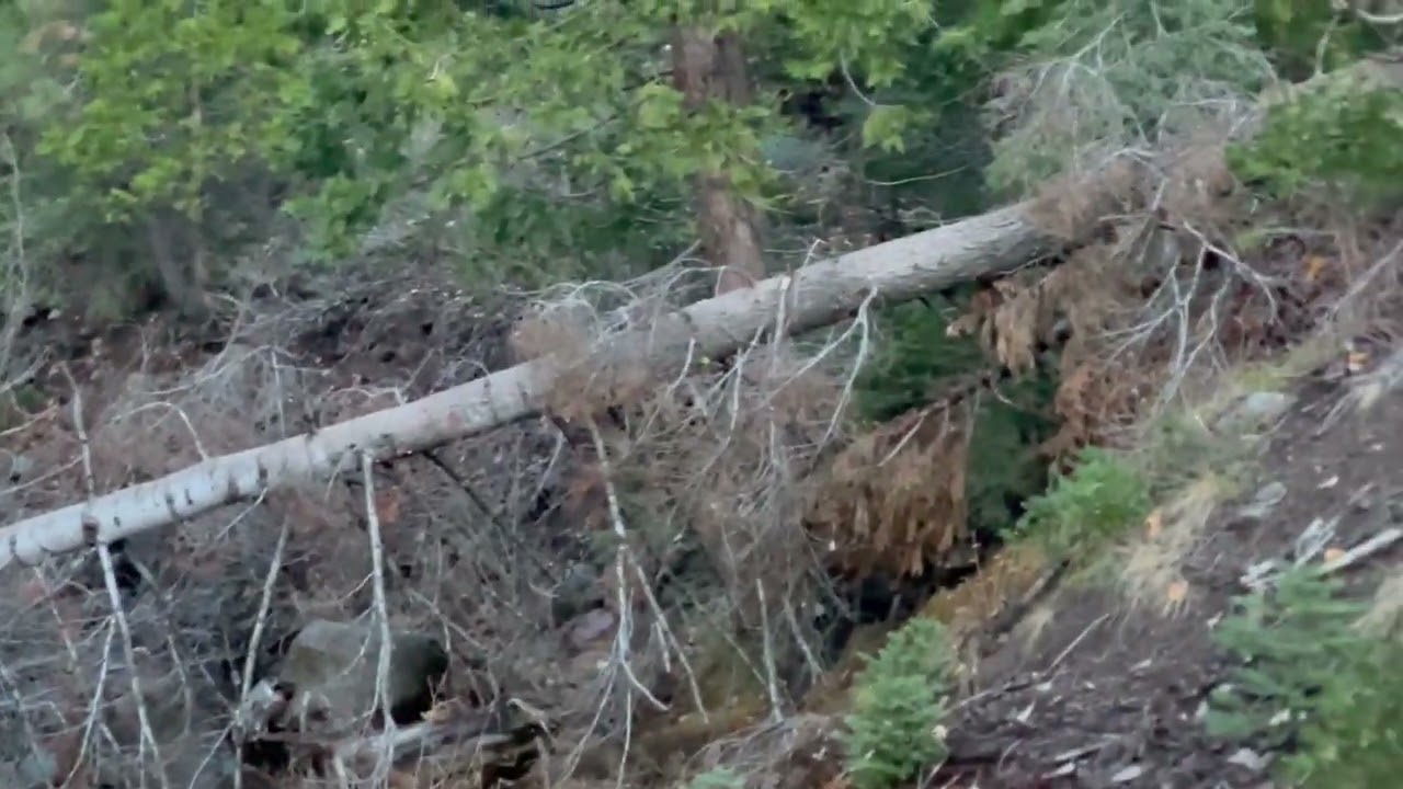 North. Fork American River