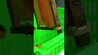 Quickly extract honey .