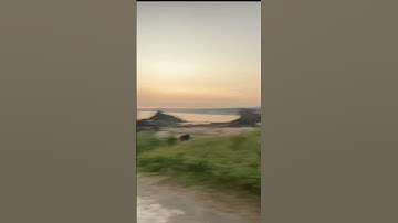 DJI Avata Crash… #shorts #drones