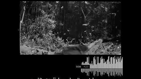 قرآن كريم بصوت اسلام صبحي ارح سمعك /حالات واتس اب اسلامية /ستوريات انستا